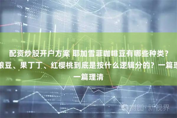 配资炒股开户方案 耶加雪菲咖啡豆有哪些种类？口粮豆、果丁丁、红樱桃到底是按什么逻辑分的？一篇理清