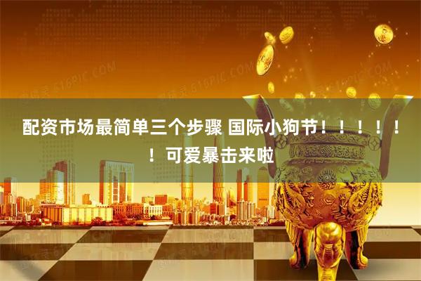 配资市场最简单三个步骤 国际小狗节!!!!!!可爱暴击来啦