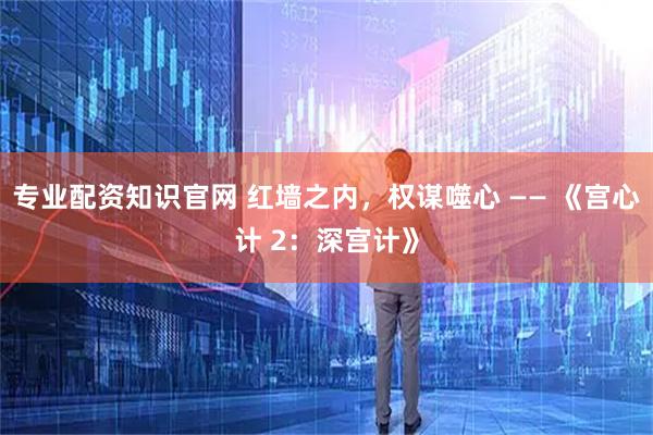 专业配资知识官网 红墙之内，权谋噬心 —— 《宫心计 2：深宫计》